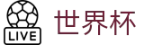 2026世界杯WORLD CUP 2026 · 赛事资讯进入及发布中心